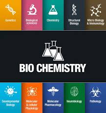 Top 10 Highest Paying Countries For Biochemists
