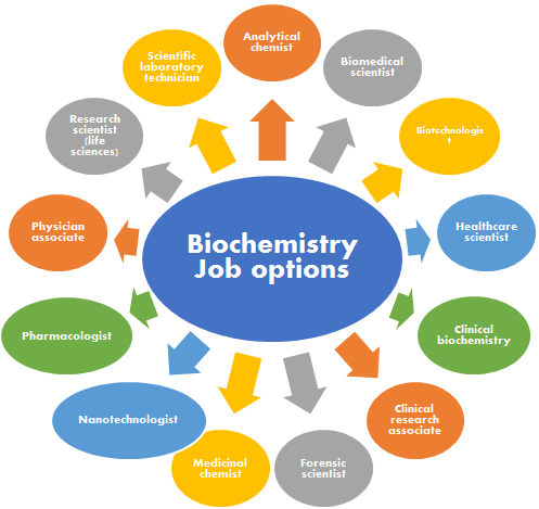 Highest Paying Jobs in Biochemistry